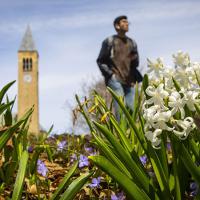 Student gazing into the distance with flowers in the foreground