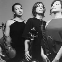 the Aizuri quartet