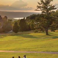 Grassy hill in dramatic light