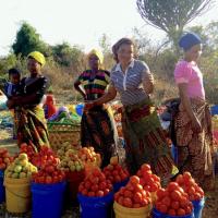 Roadside vendors sell tomatoes in Mikumi, Tanzania