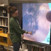 Student examining Rembrandt painting