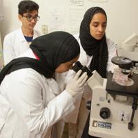 Students working a lab