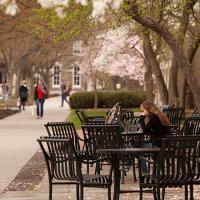  Student studying in front of Goldwin Smith Hall