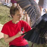  Student assisting with the conservation of birds of prey