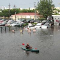 A person kayaking through floodwaters