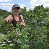 talia Isaacson picking blueberries