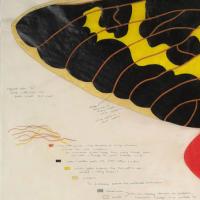 Image of a butterfly wing from painting in exhibit