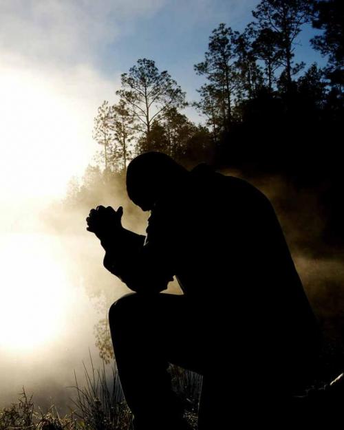 Silhouette of person kneeling by a pond