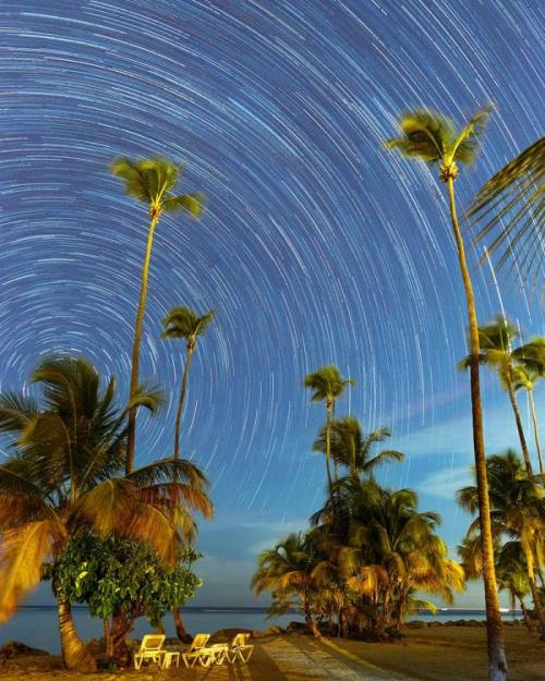 Sky full of stars, time lapse, over palm trees