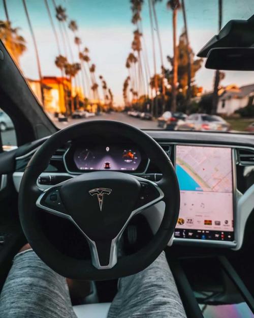 Interior of a self-driving car, looking out at palm trees