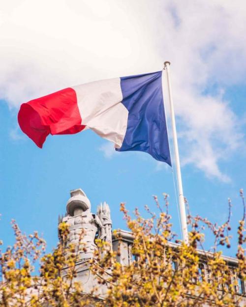 Surprise - French Flag