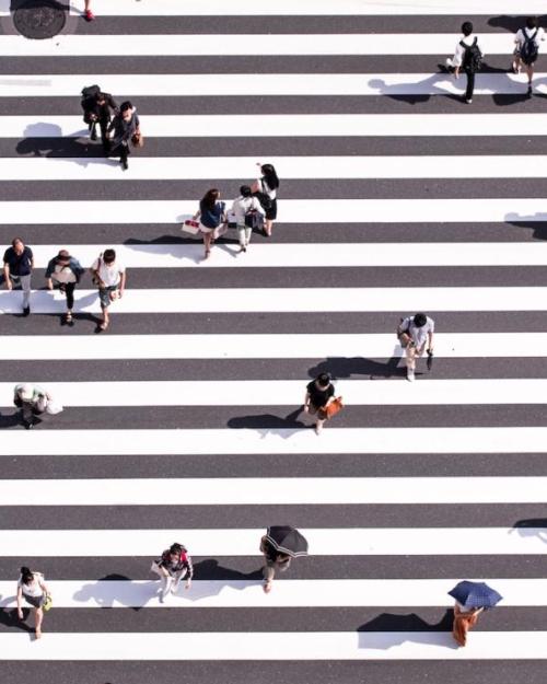 		Seen from directly above, 20 people in a striped cross walk
	