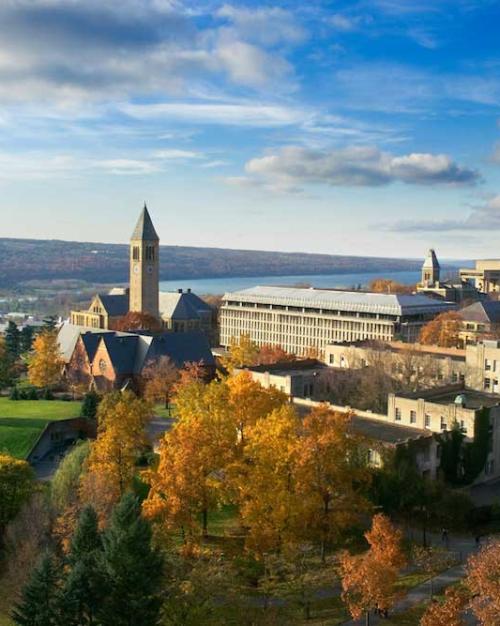 Looking down on a campus with buildings, green lawn, and a lake in the distance