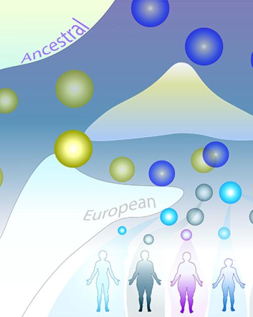 Illustration: seven human figures at the bottom, connected to pathways containing yellow and blue circles representing DNA