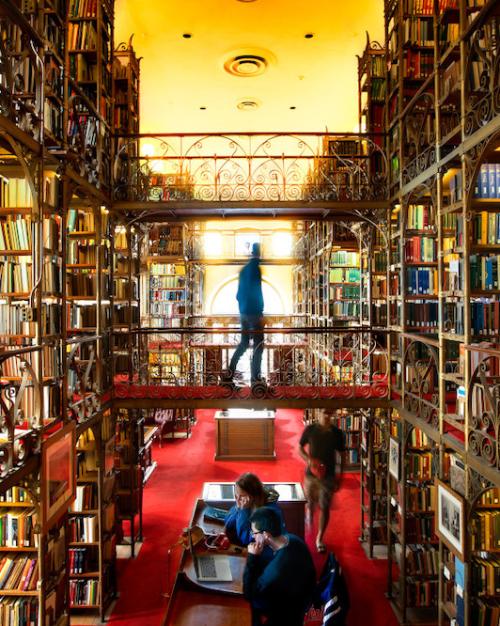 		Inside a library full of elaborate book shelves
	