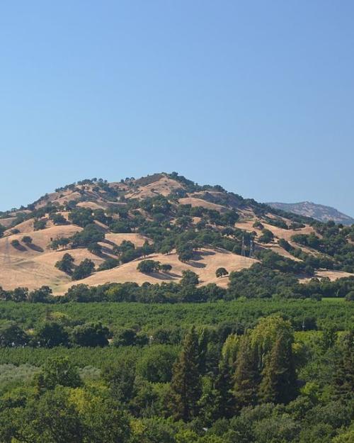 		A large hill dotted with green foliage under a blue sky
	