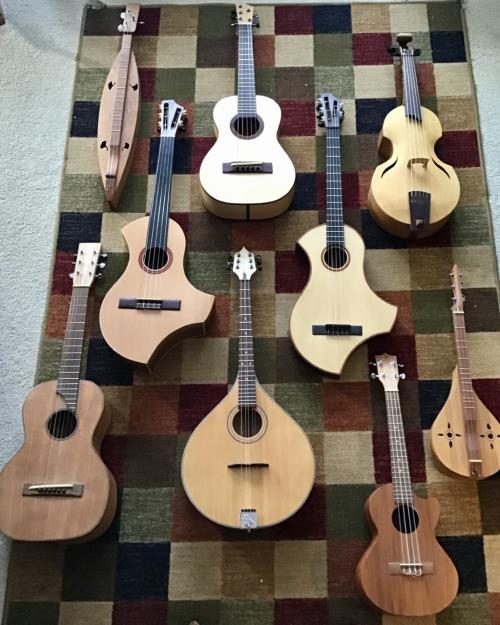 lots of guitar looking instruments