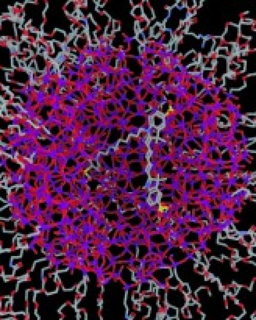 Circular cluster of fibrous strands; the strands in the center are purple