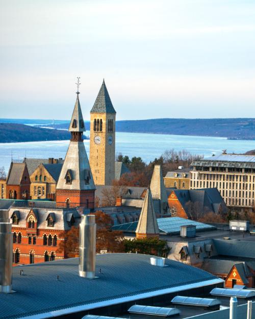 		Overhead view of Cornell's campus buildings under a light sky, with a lake in the distance
	