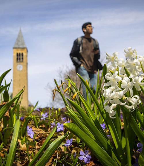 Student gazing into the distance with flowers in the foreground