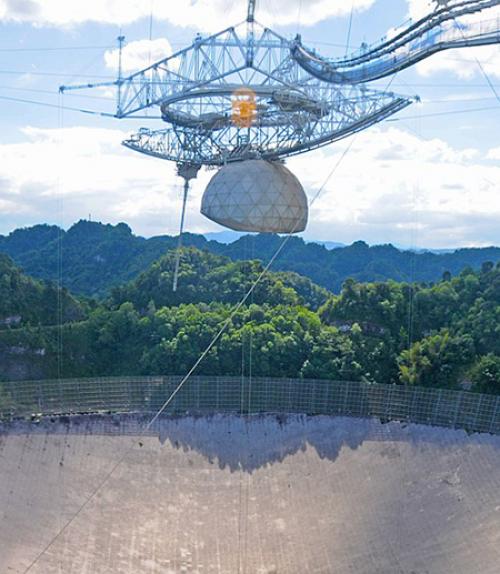 Metal grid suspended over a giant concrete bowl; foliage in the background