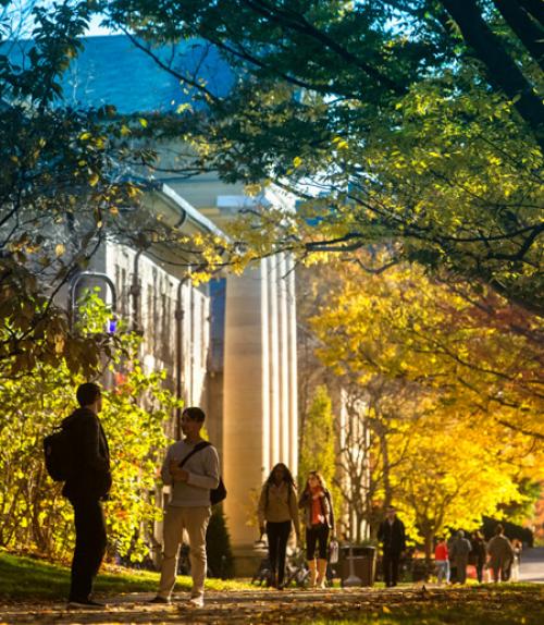  Arts quad in the fall