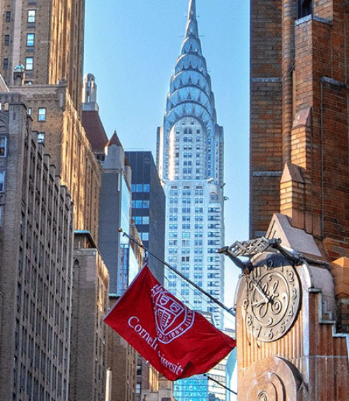  Cornell flag on a building in New York City