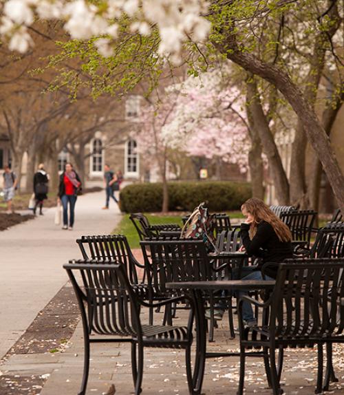  Student studying in front of Goldwin Smith Hall