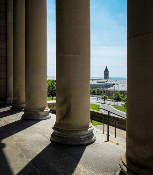 Image of campus from the columns outside Baker Lab
