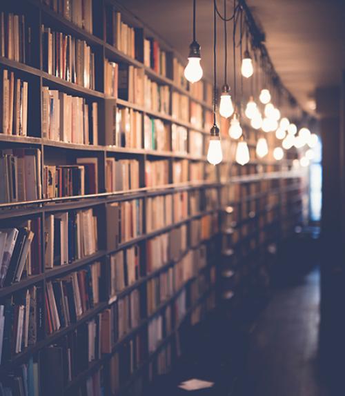 Wall of books lit by bare bulbs