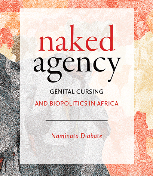  Book cover of &quot;Naked Agency&quot;