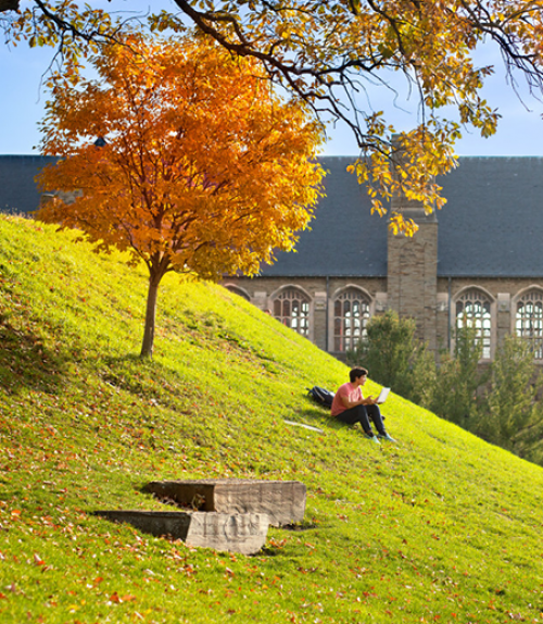 A student sits on a grassy hill near a tree turned orange by autumn