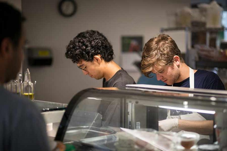 Student workers making sandwiches at the Temple of Zeus