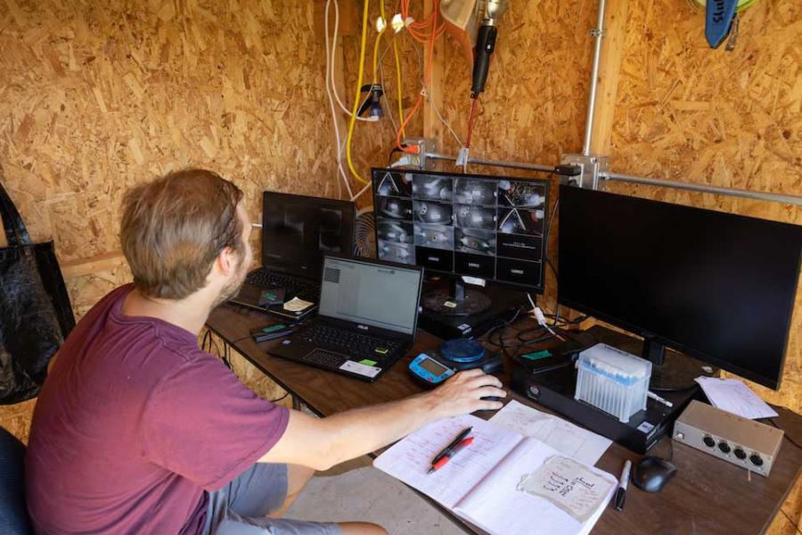 Person sitting at a desk working at four computer monitors set up in a plywood shed