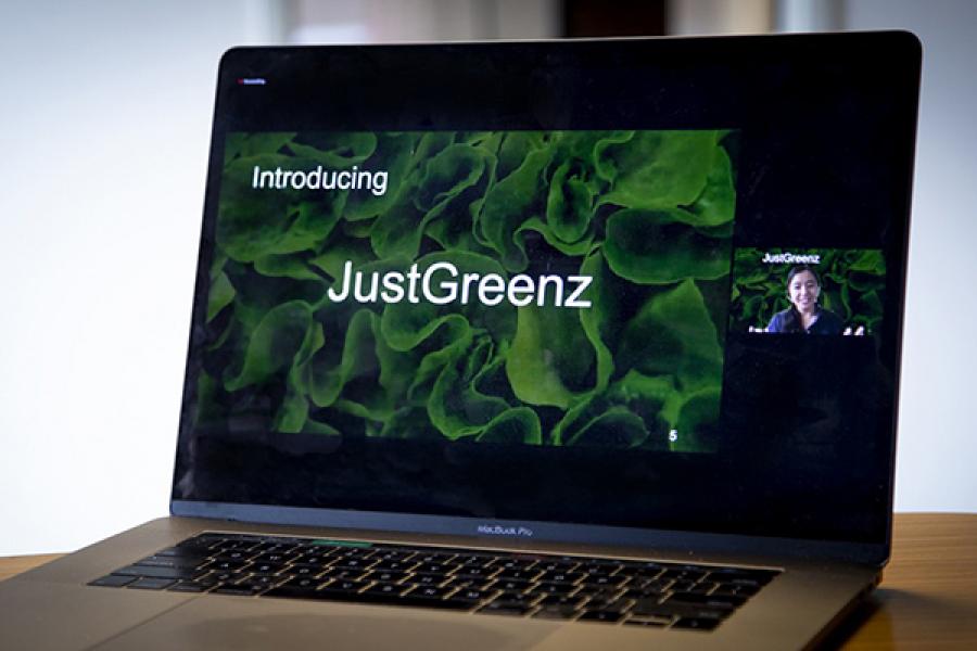 Screen shot showing JustGreenz logo