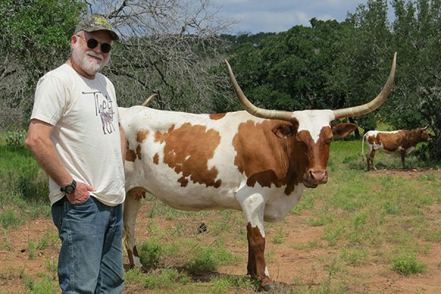 Harry Greene standing next to a longhorn cow
