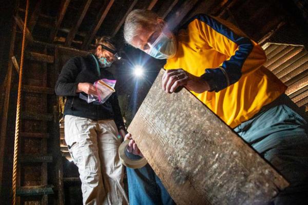 people looking at a piece of wood