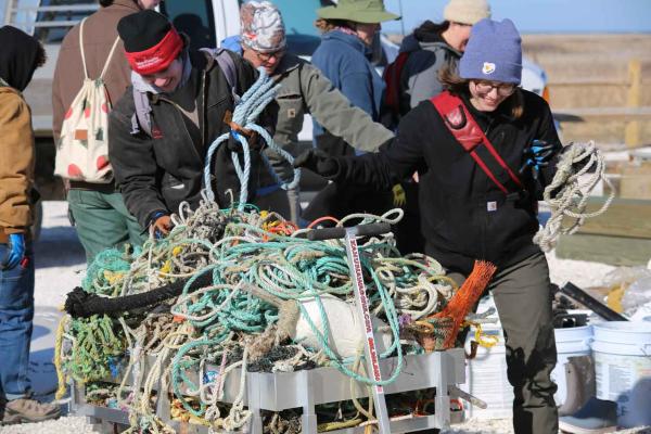 two people untangling ropes and lobster traps