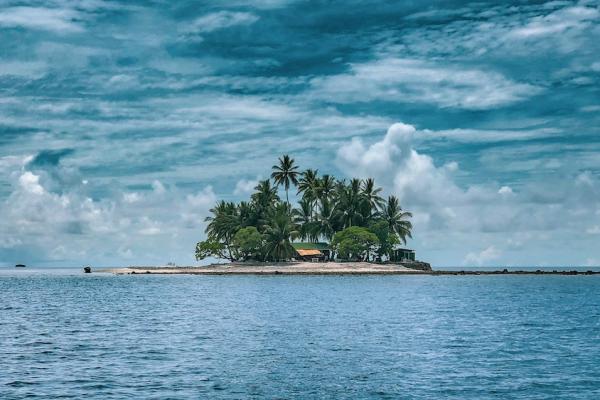 tiny island sprouting palm trees and a few buildings