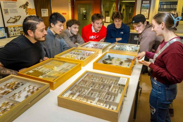 Seven people cluster around a table holding wooden boxes of butterfly specimens