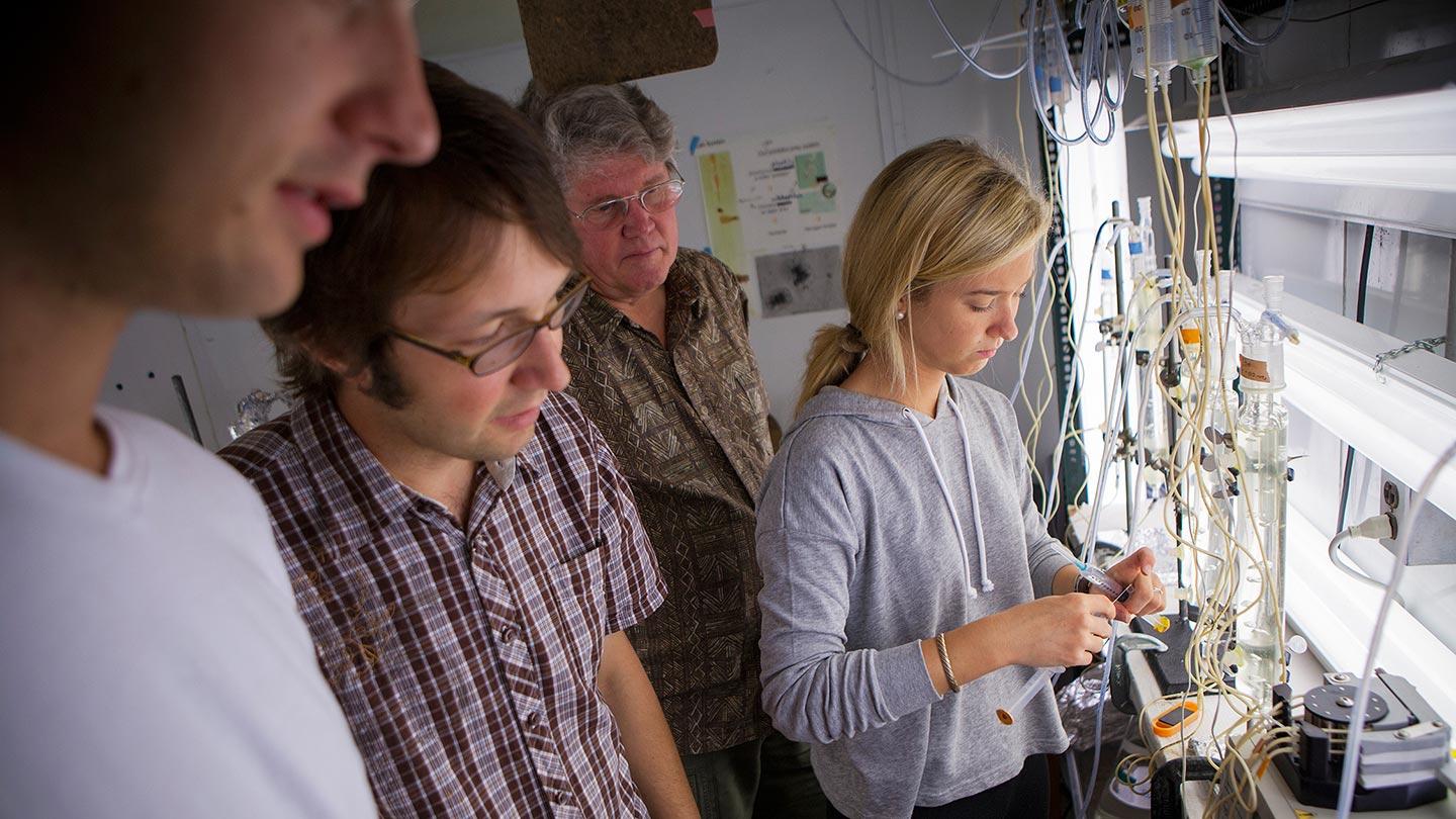 Students conducting summer research in the lab of professor Nelson Hairston