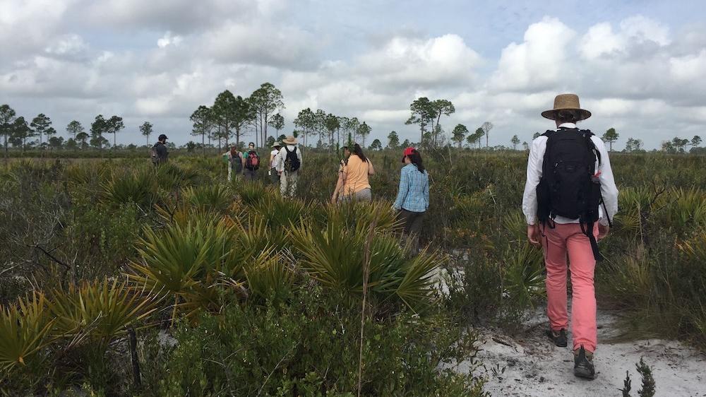 Several people wearing outdoor clothing walk in a line through sandy scrub land