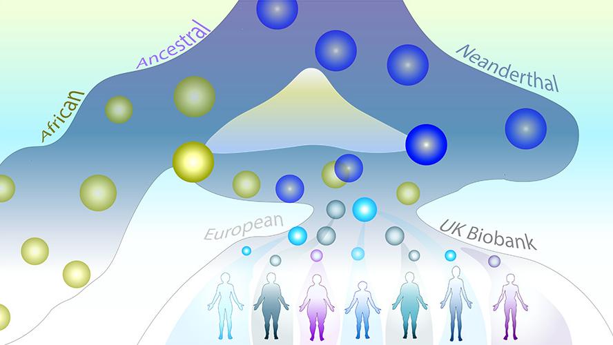 Illustration: seven human figures at the bottom, connected to pathways containing yellow and blue circles representing DNA