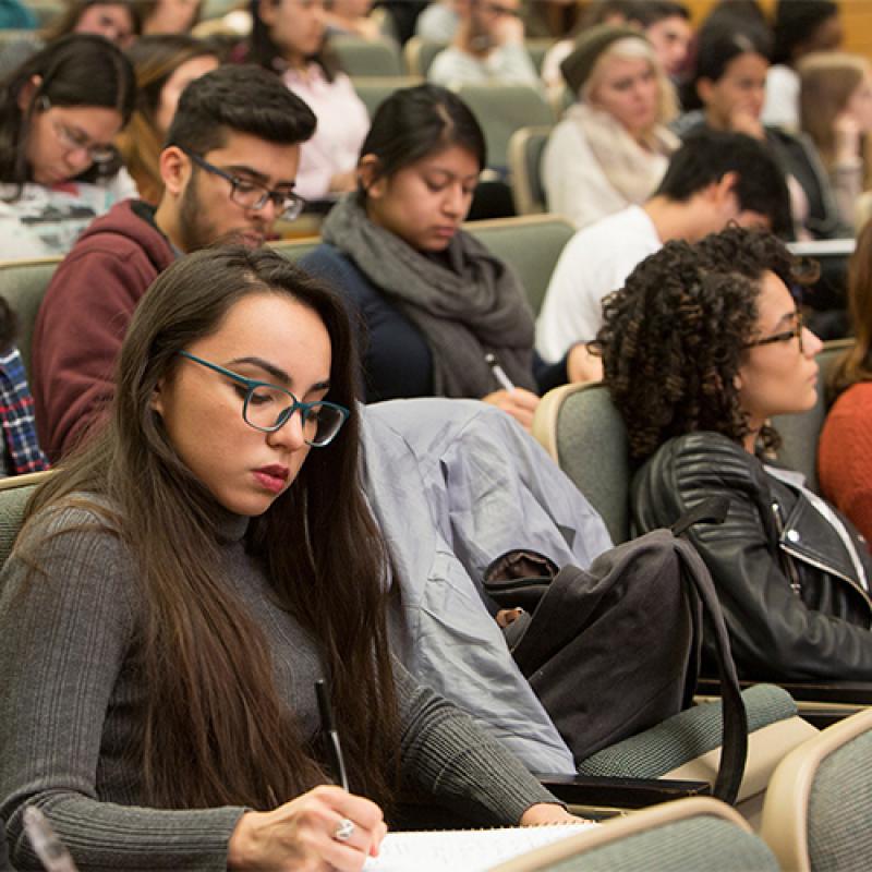Latina/o Studies