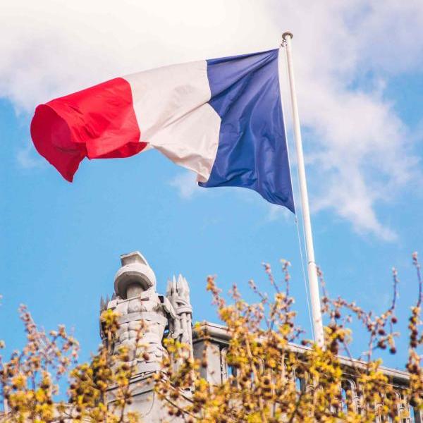 Surprise - French Flag