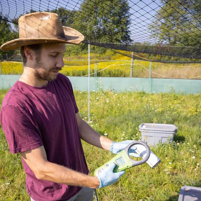 Person wearing a hat in a sunny field, using electronc equipment