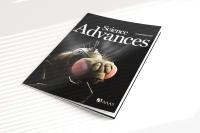 Cover of Science Advances showing fruit fly