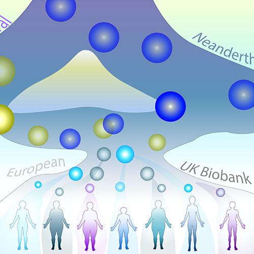 Illustration: seven human figures at the bottom, connected to pathways containing yellow and blue circles representing DNA