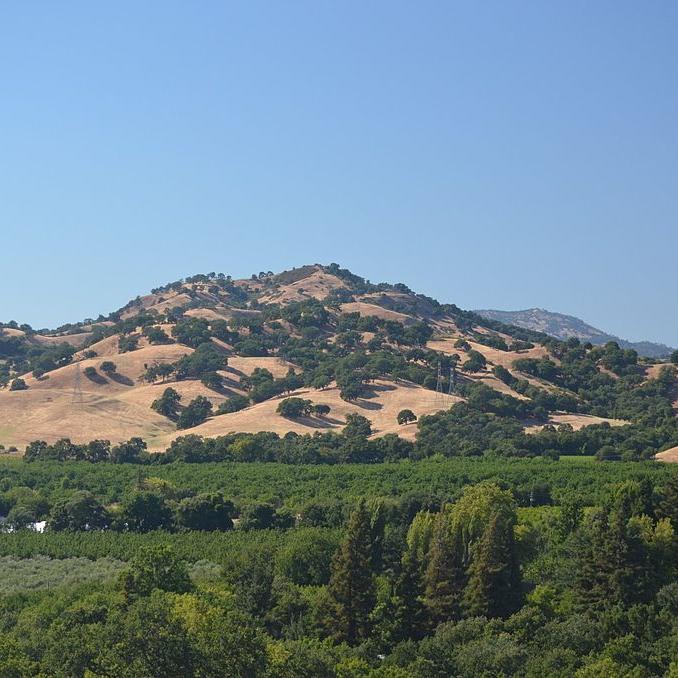 A large hill dotted with green foliage under a blue sky