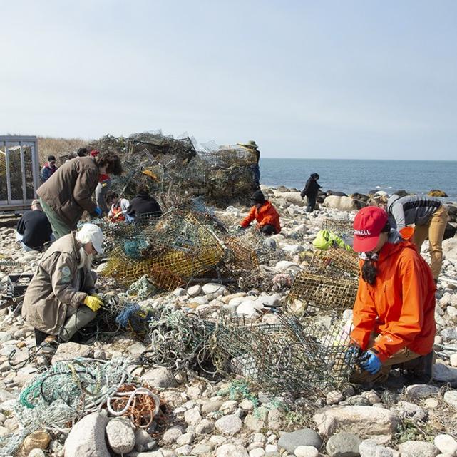 Several people on a rocky beach in warm clothing, collecting trash